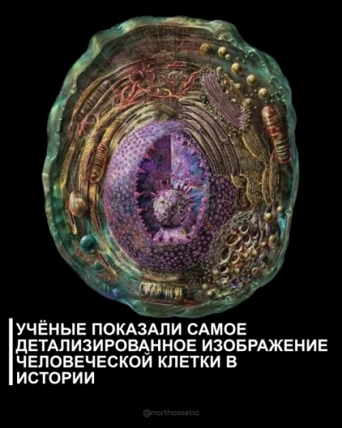 15c38c9bb62e364edc6bb8a6d9a4cc96