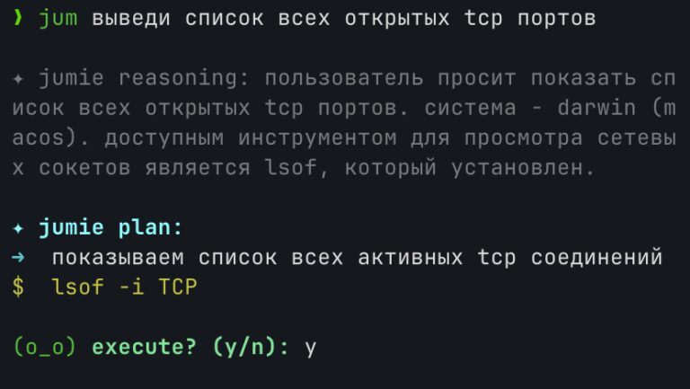 jumie — локальный ИИ ассистент в терминале