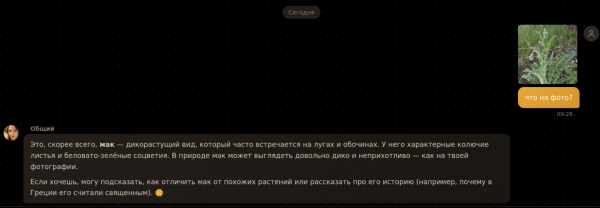 Qwen3 VL Flash. Какая-то другая модель еще написала про опасность и проблемы с этим маком (хотя это декоративный). Qwen3 VL Flash. Какая-то другая модель еще написала про опасность и проблемы с этим маком (хотя это декоративный).