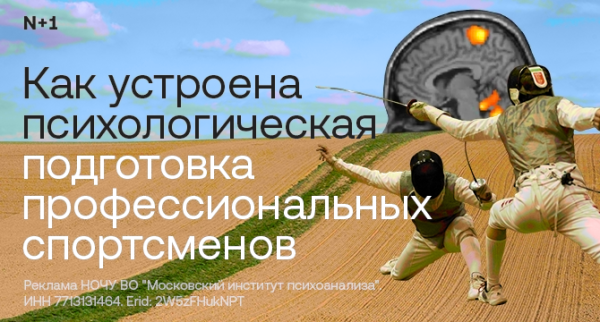 МИП — Ментальные победы