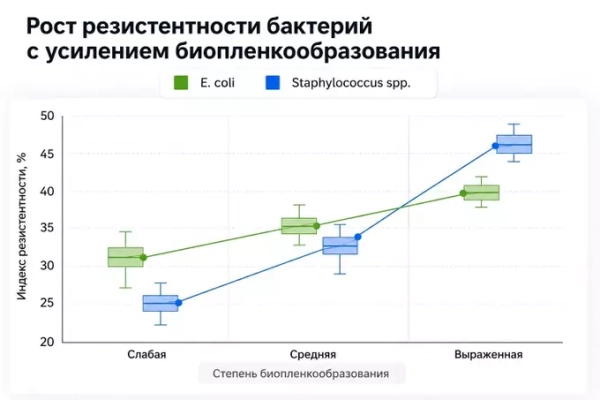 Динамика резистентности бактерий при различных уровнях биопленкообразования Динамика резистентности бактерий при различных уровнях биопленкообразования
