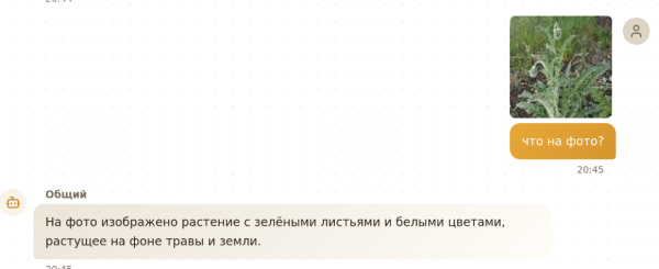 GigaChat Pro (бесплатного ключа хватает на три картинки) GigaChat Pro (бесплатного ключа хватает на три картинки)