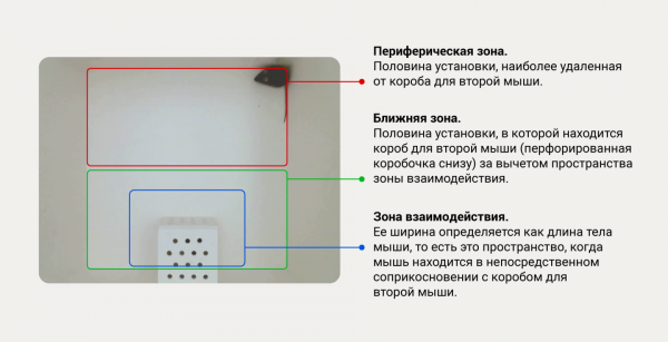 Компьютерное зрение против рутины: как мы ускорили анализ поведения лабораторных мышей 4 c492bddba2a105aa0b88f825cc16faf6