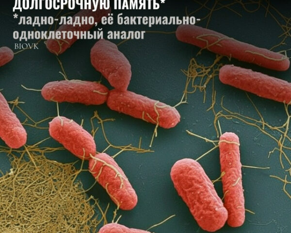 Группа из Университета Карнеги-Меллон и Технологического института Джорджии взяла штамм E. coli, засунула его в микроскопический чип с тысячью камер