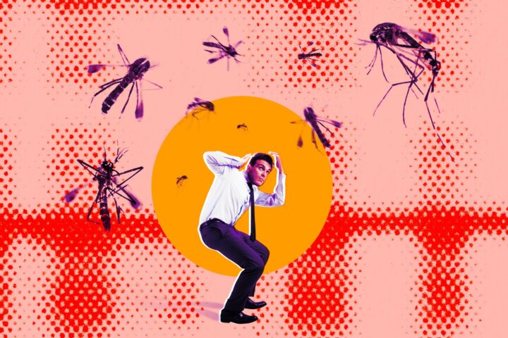 Люди недовольны планом Google выпустить в дикую природу миллионы биоинженерных комаров