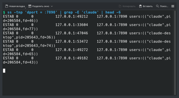 Claude Desktop на Linux, через прокси 10 ss показывает, что процессы Claude держат соединения с прокси на 7890