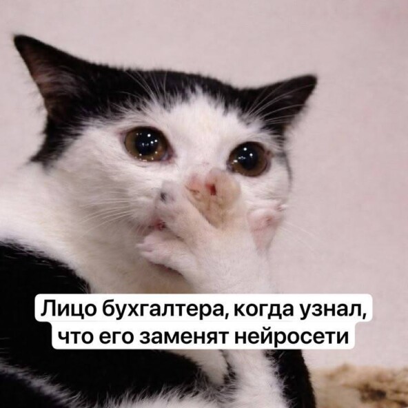 ИИ уже делает часть моей работы бухгалтера. Почему я не боюсь остаться без клиентов