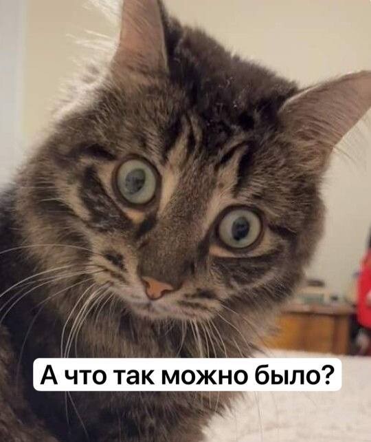 ИИ уже делает часть моей работы бухгалтера. Почему я не боюсь остаться без клиентов