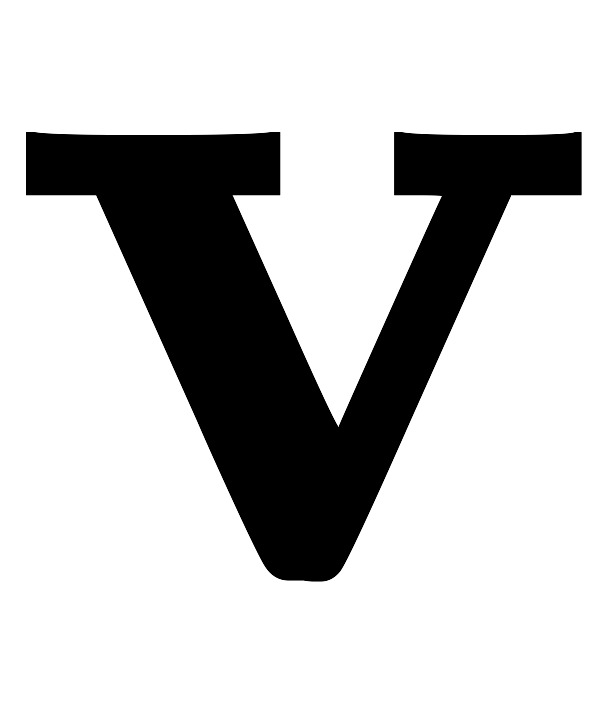 mathbf{v}