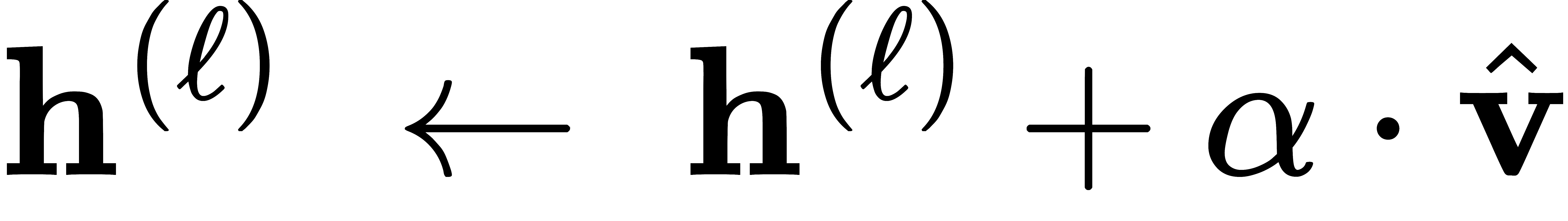 mathbf{h}^{(ell)} ;leftarrow; mathbf{h}^{(ell)} + alpha cdot hat{mathbf{v}}