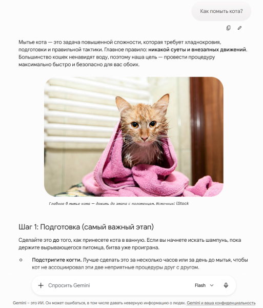 Спрашиваю у Gemini - как помыть кота Бориса - владелец сайта упустил трафик