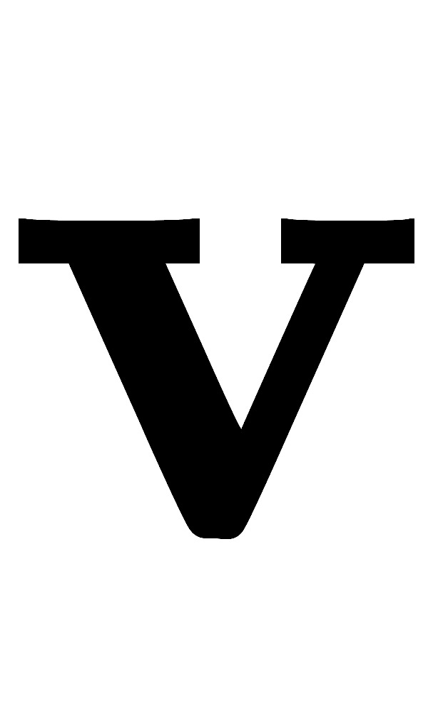  mathbf{v} 