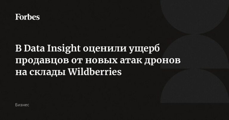100-120 млрд руб. может достичь ущерб селлеров от атак на…