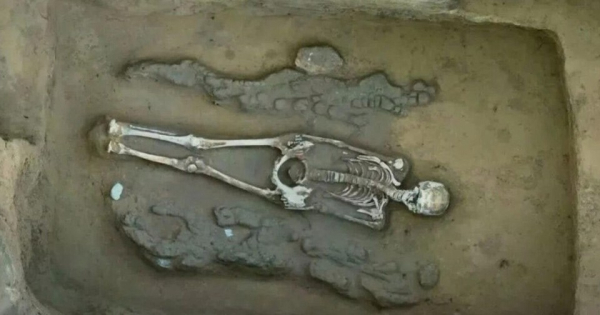 В древней могиле раскопали 4300-летние фигурки дракона и феникса. Артефакты обнаружили во Внутренней Монголии