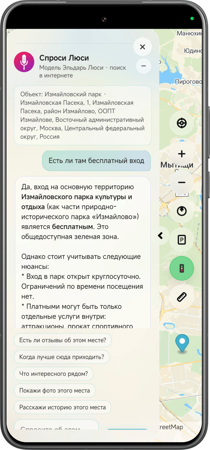 Вопрос про парк в чате с Люси