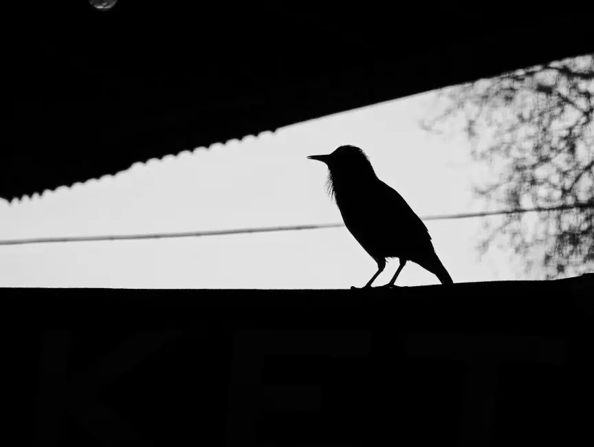 leica-xiaomi-leitzphone-example-images-lanxon-09