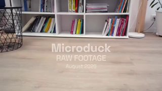 Hugging Face показала обучаемую робо-утку Microduck Hugging Face представила Microduck…