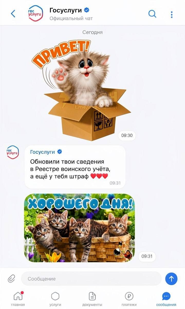 «Госуслуги» хотят превратить в соцсеть По данным СМИ, в России…