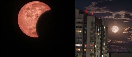 Смартфон перепутал Солнце с Луной: как ИИ-дорисовка испортила фото затмения…