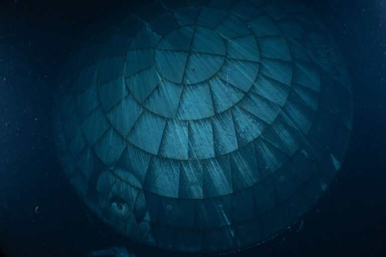 Оказалось, что сильно критикуемый теплозащитный экран «Ориона» показал себя действительно хорошо.