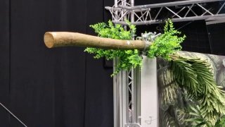 Инженеры Делфтского технического университета создали дрон, который цепляется за ветки,…