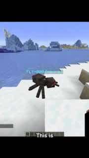 Парень перенёс мозг мухи в Minecraft — теперь насекомое управляет…
