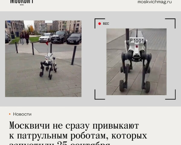 Московские робособаки уже больше двух недель патрулируют улицы, но некоторые прохожие по-прежнему воспринимают встречу с ними как событие из фантастического фильма