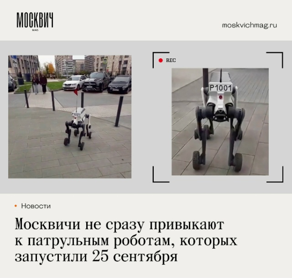 Московские робособаки уже больше двух недель патрулируют улицы, но некоторые прохожие по-прежнему воспринимают встречу с ними как событие из фантастического фильма