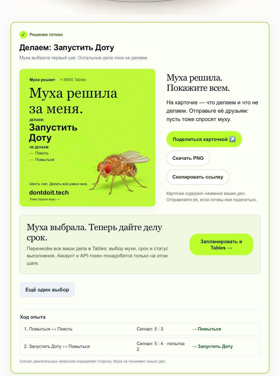 Цифровая муха теперь помогает выбирать, с какой задачи начать Коннектом…