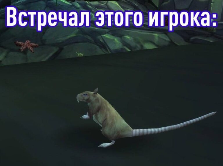 Муж тайно удалил экипировку жены в World of Warcraft в…